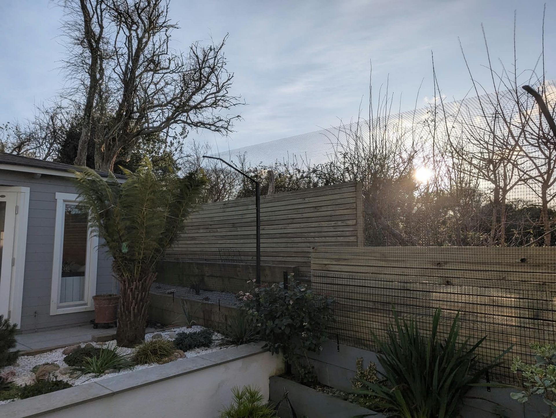 Slatted timber fence with cat-proof netting in a Cornwall garden