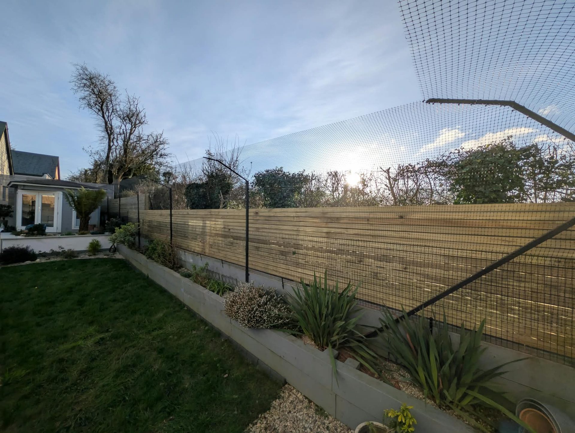 Long slatted fence with netting above raised beds and lawn in Cornwall