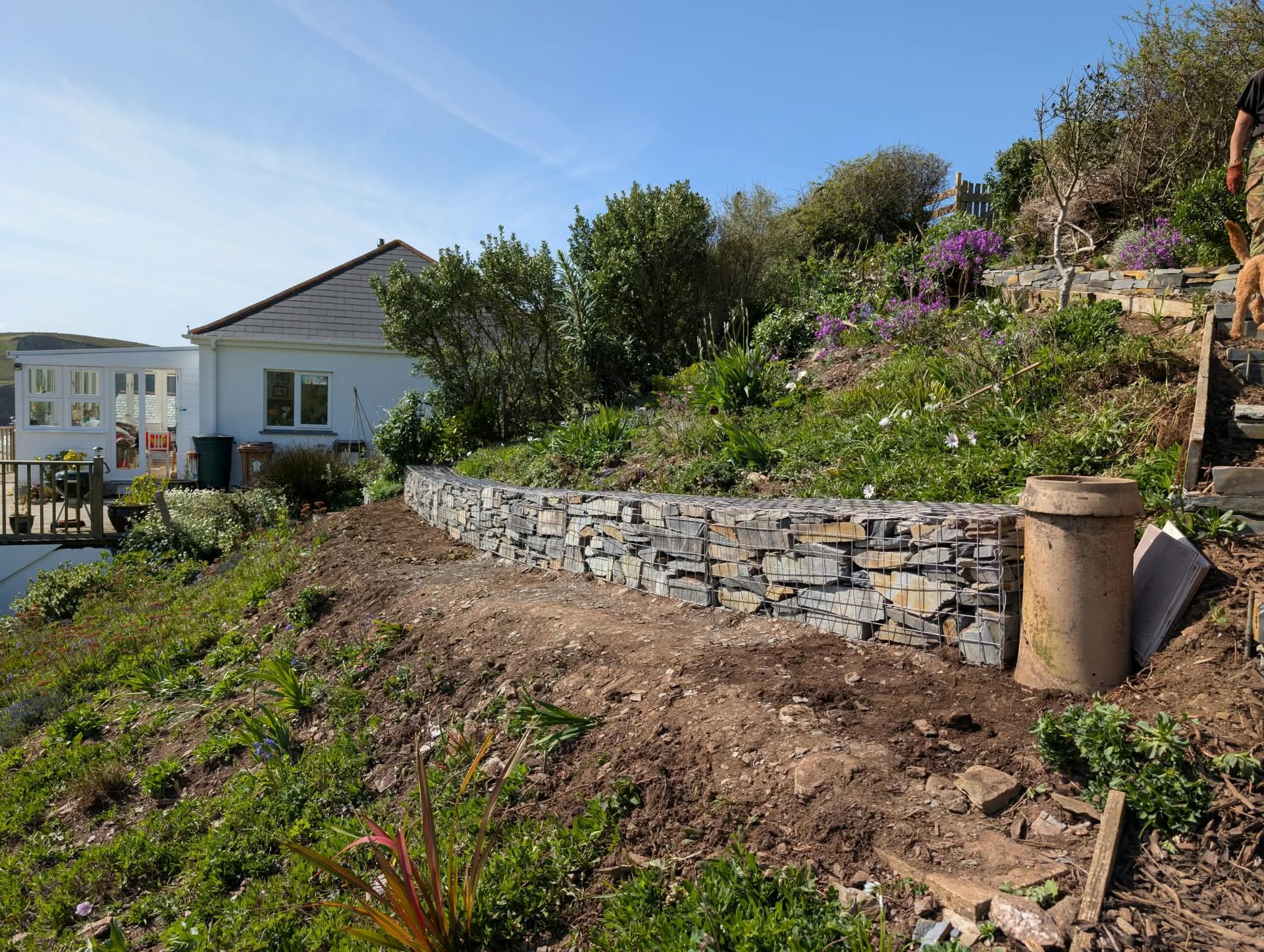 Slate-filled gabion retaining wall on a coastal hillside garden in Cornwall