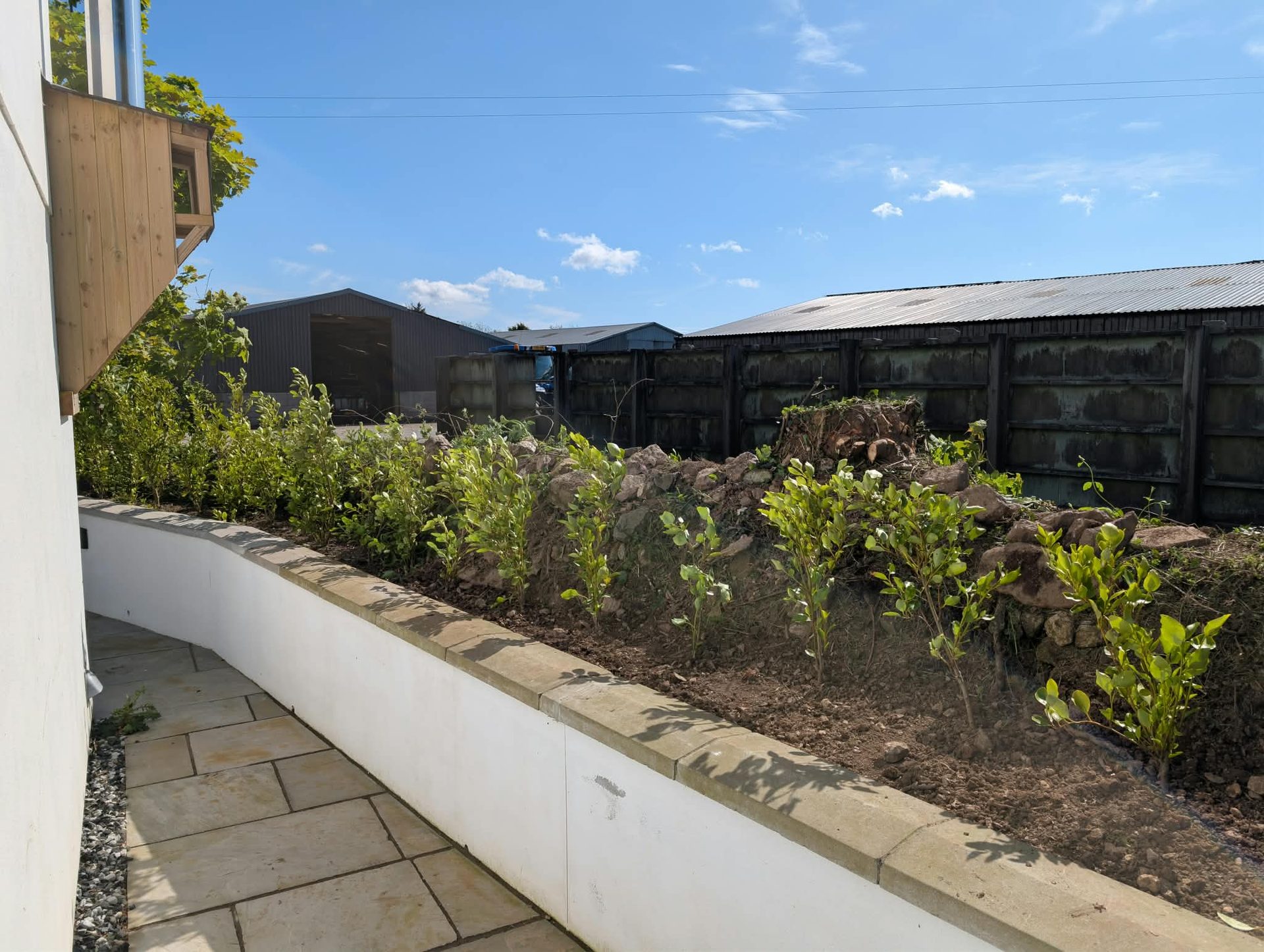 Rendered raised bed planted with new hedging beside a paved path in Cornwall